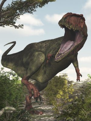 GiganotosaurusDR南方巨兽龙-Giganotosaurusdr南方巨兽龙
