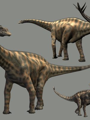 SpinophorosaurusDR棘刺龙-Spinophorosaurusdr棘刺龙