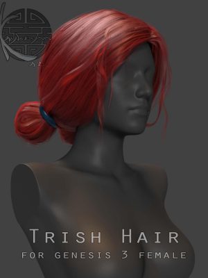 Trish Hair for Genesis 3 Female创世纪3女性头发-创世纪的毛发3雌性创世纪3女性批发
