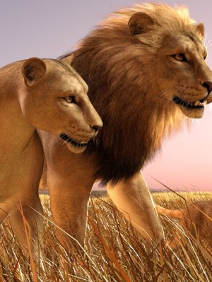 HiveWire Lion Family 狮子家庭-Hivewire Lion Family狮子家居