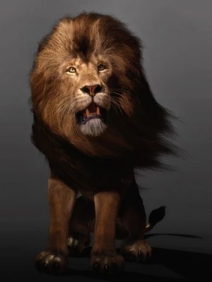 Felidae by AM – Lion – dForce Addon-Felidae by am  – 狮子 –  dforce addon