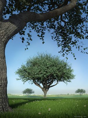 Hybrid Trees – Pruned-杂交树 – 修剪