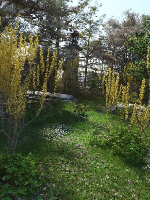 Spring Flowering Shrubs – Golden Forsythia
