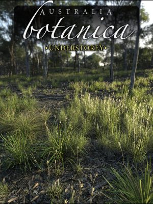 Australia Botanica – Understorey