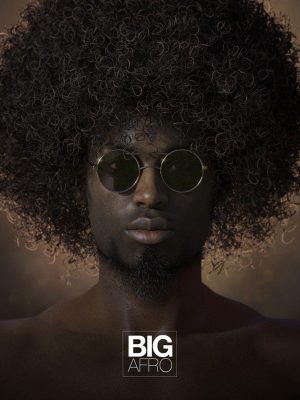 Big Afro Hair for Genesis and Genesis 2-Gig Defro头发为创世纪和创世纪2