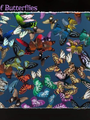 3D Insect Fauna: Flutter of Butterflies-3D昆虫动物群：蝴蝶的颤动