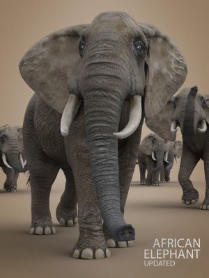 African Elephant Updated-非洲大象更新了