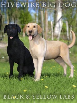 Black and Yellow Labs for the HiveWire Big Dog-黑色和黄色实验室为hivewire大狗