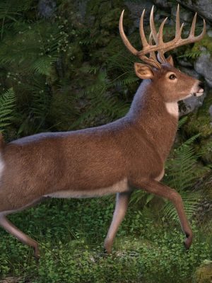 CWRW Whitetail Deer LAMH Preset-CWRW WHiteTail Deer Lamh预设
