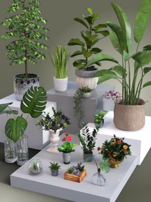 Collection of Pot Plants-锅植物的集合