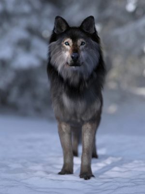 Dire Wolf for Daz Dog 8-Daz Dog 8的Rire Wolf 8