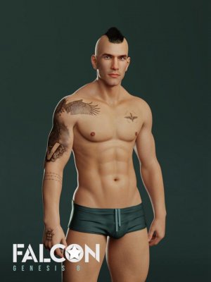 Falcon Character and Hair for Genesis 8 Male-创世纪8号雄鹰的猎鹰特征和毛发