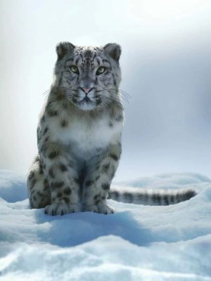 Felidae by AM Snow Leopard-菲达皮是雪豹