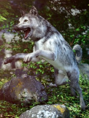 Grey Wolf for Daz Dog 8-Daz Dog 8的灰狼