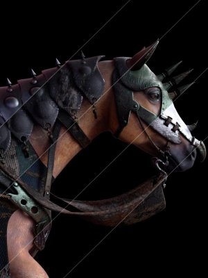 Guardian Horse Armor for DAZ Horse 2 Textures-纹理的守护马盔甲