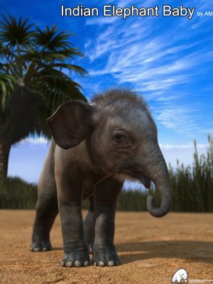 Indian Elephant Baby by AM-印度大象宝贝靠