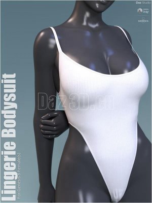 Lingerie Bodysuit-内衣紧身连衣裤