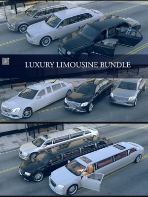 Luxury Limousine Bundle-豪华豪华轿车束