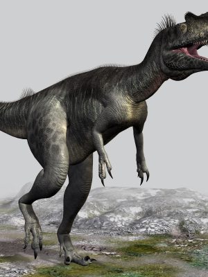 MegalosaurusDR-巨大龙