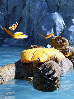Storybook Turtle HD for Genesis 8.1 Males-创世纪81雄性故事书海龟