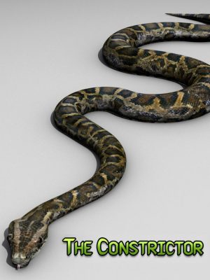 The Constrictor-收缩器