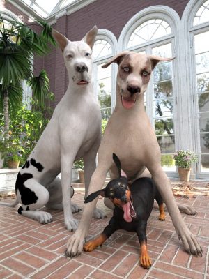 Three Amigos for Daz Dog 8-Daz Dog 8的三个Amigos