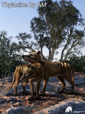 Thylacine by AM-上午的Thylacine