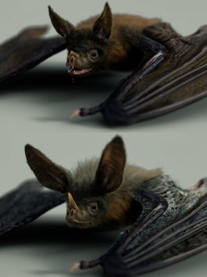 Vampire Bat by AM-吸血鬼蝙蝠靠