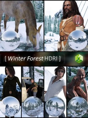 Winter Forest HDRI-冬季森林