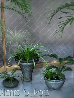 Plants & Pots-植物＆＃038;锅