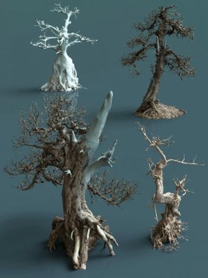 4 Dead Bonsai Trees-4棵枯死的盆景树