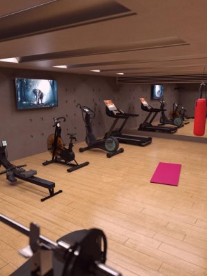 Home Gym-家庭健身房