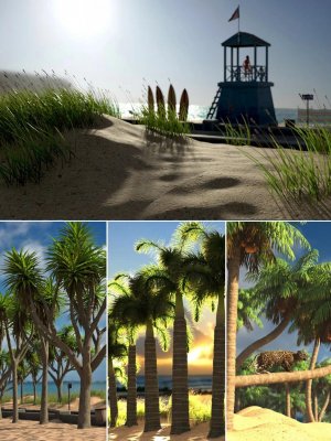 Seaside Walkway and Palm Tree Bundle-海边人行道和棕榈树丛