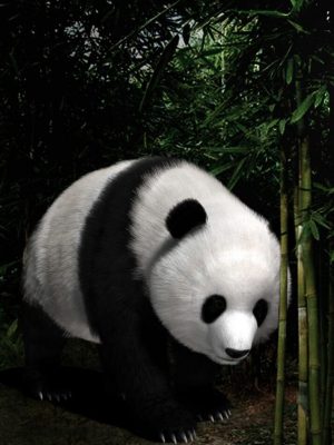 Panda (Poser)-熊猫（Poser）