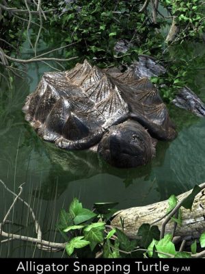 Alligator Snapping Turtle-鳄鱼鳄龟龟龟