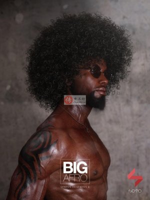 Big Afro Hair for Genesis 3 and 8-创世纪3和8的大非洲式发型