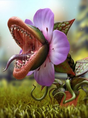Carnivorous Plant HD-食虫植物
