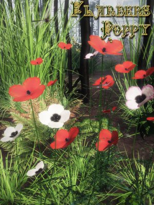 Flanders Poppy (Static TPF Plant for DS and Poser)-佛兰德斯罂粟（和的静态工厂）