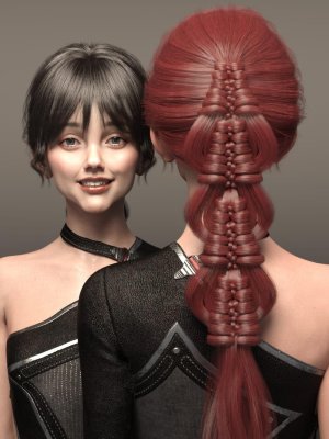 Hui Hair for Genesis 8 and 8.1 Females-创世纪8和81女性的回族头发