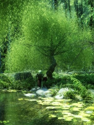 Weeping Willow Trees-垂柳