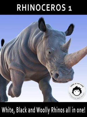 Rhinoceros 1 by AM-犀牛1到上午