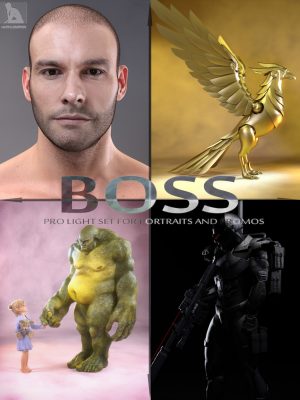 BOSS Pro Light Set for Portraits & Promos-BOSS PRO光为肖像＆＃038;促销