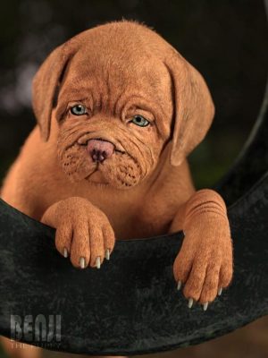 Benji The Puppy HD for Daz Dog 8-Benji为Daz Dog 8的小狗HD