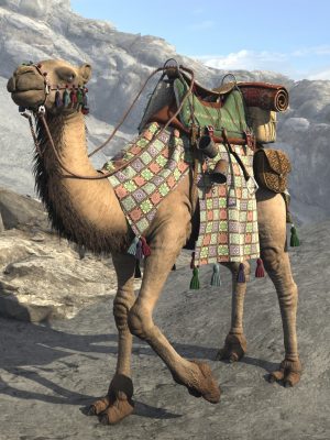 My Camel Camelia HD我的骆驼-我的骆驼camelia hd我的♥