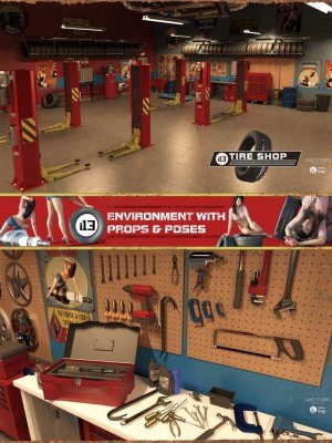 i13 Tire Shop Environment with Poses-13带姿势的轮胎车间环境
