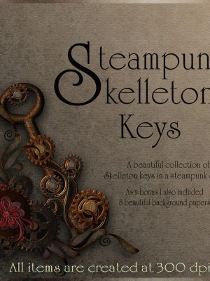 Steampunk Skelleton Keys-Steampunk骨架键
