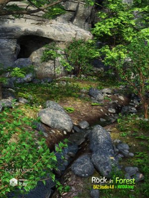 Rock in Forest-岩石在森林里