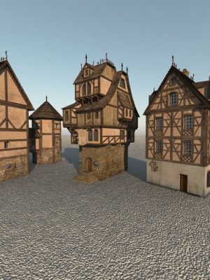 MEDIEVAL HOUSES-中世纪的房子