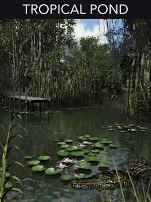 Tropical Pond-热带池塘
