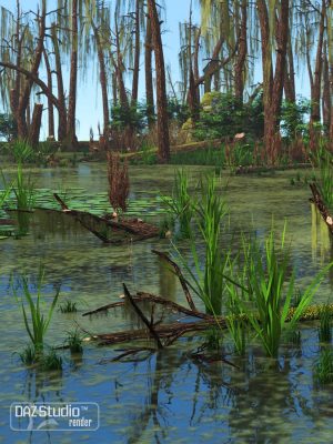 Nature – Swamp自然 – 沼泽-自然 – 沼泽自由＆＃8211;沼泽